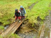 Wichtel über dem Bach