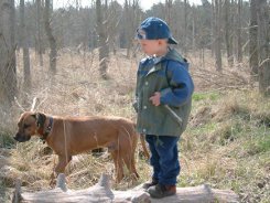 Junge mit Hund